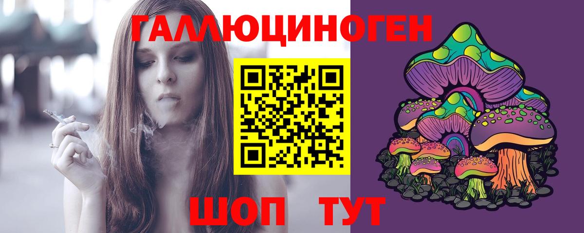 Псилоцибиновые грибы Psilocybine cubensis Туапсе